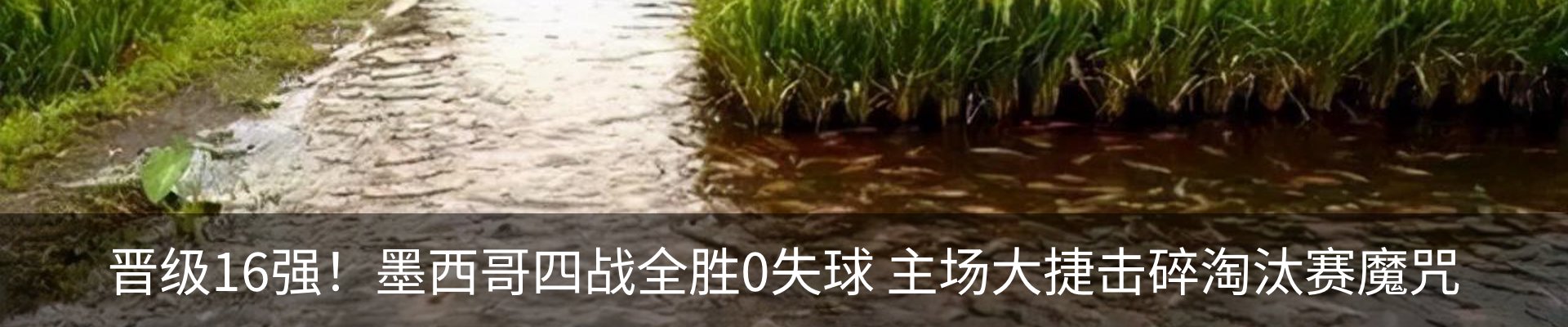 内页banner