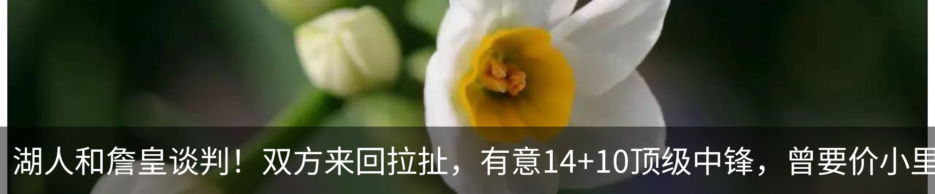 内页banner